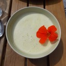 Avocado-Frischkäse-Dip