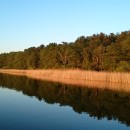 ...Stille...