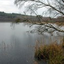 Der Krumme See