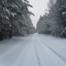 Winterlandschaft um Zwenzow