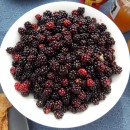 Porridge mit frischen Brombeeren