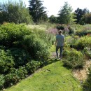 Lustwandeln im Garten