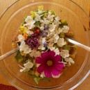 Salat mit Blütengarnitur