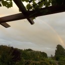 Regenbogen